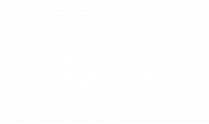 Mike Nabers Realtor Logo